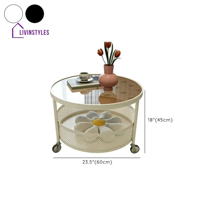 Janya Stainless Steel Frame Coffee Table for Living Room