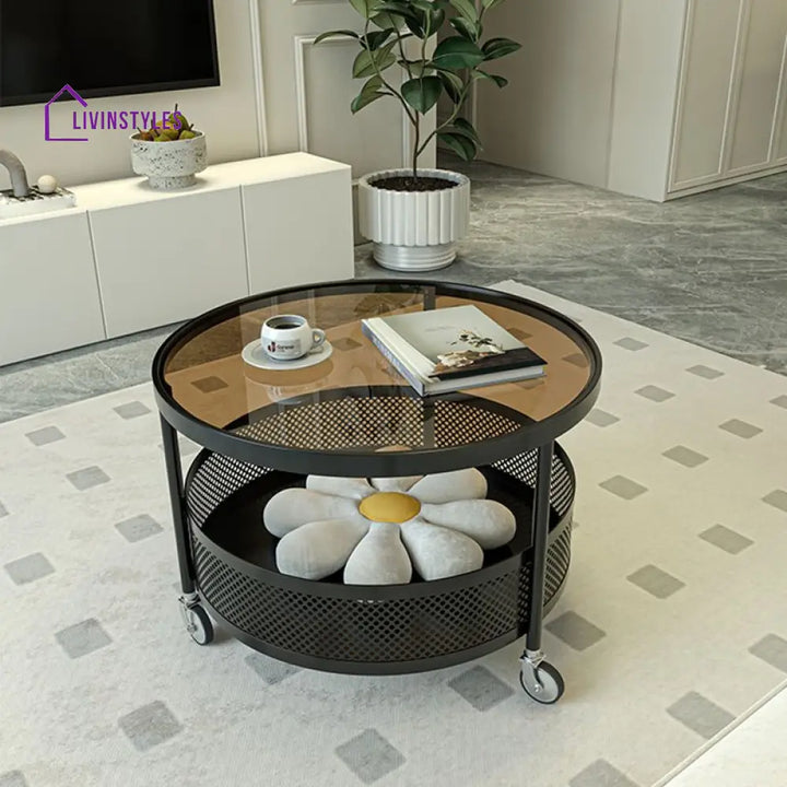 Janya Stainless Steel Frame Coffee Table for Living Room