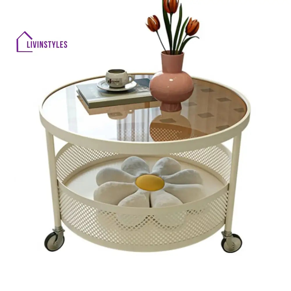 Janya Stainless Steel Frame Coffee Table for Living Room