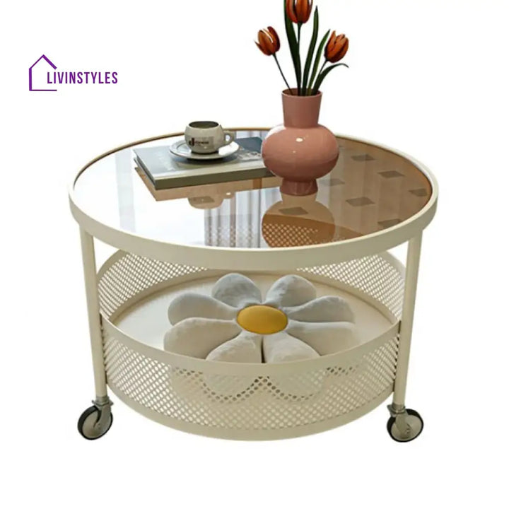 Janya Stainless Steel Frame Coffee Table for Living Room