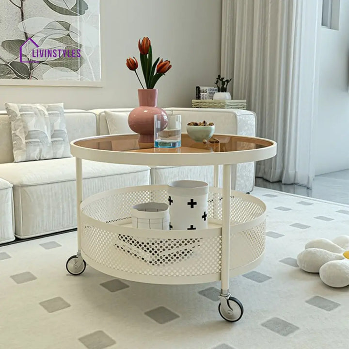 Janya Stainless Steel Frame Coffee Table for Living Room