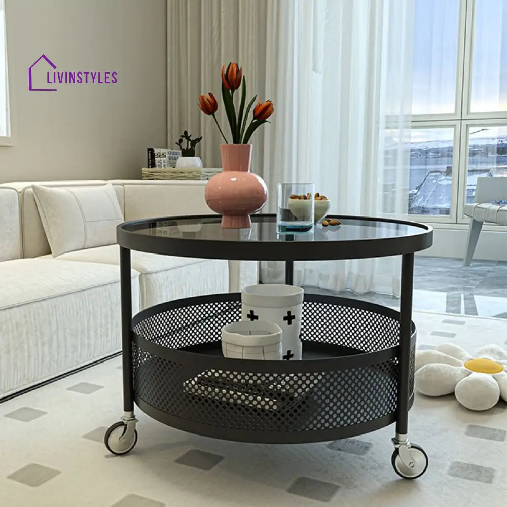 Janya Stainless Steel Frame Coffee Table for Living Room