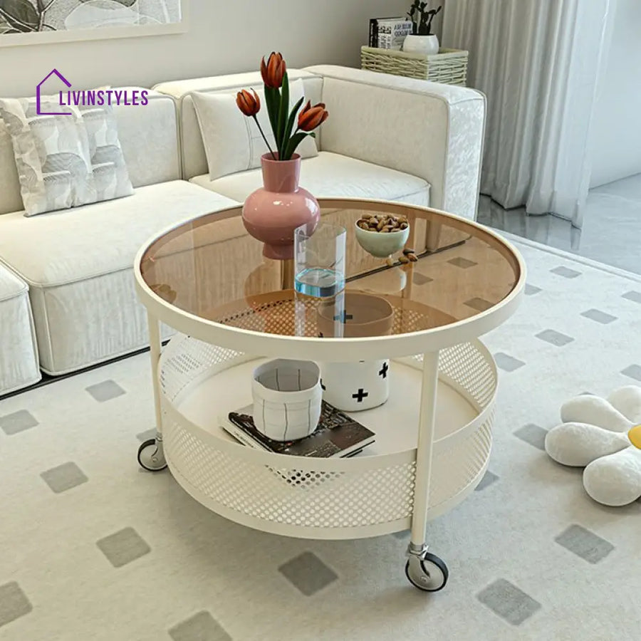 Janya Stainless Steel Frame Coffee Table for Living Room