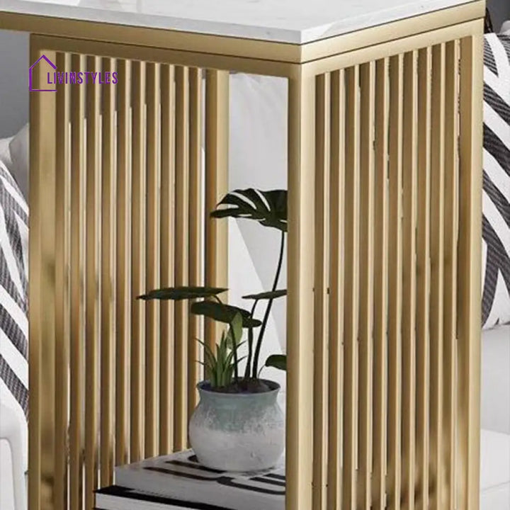 Jaskaran Stainless Steel Living Room Console Table