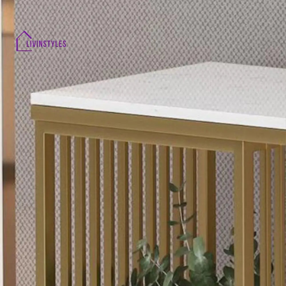 Jaskaran Stainless Steel Living Room Console Table