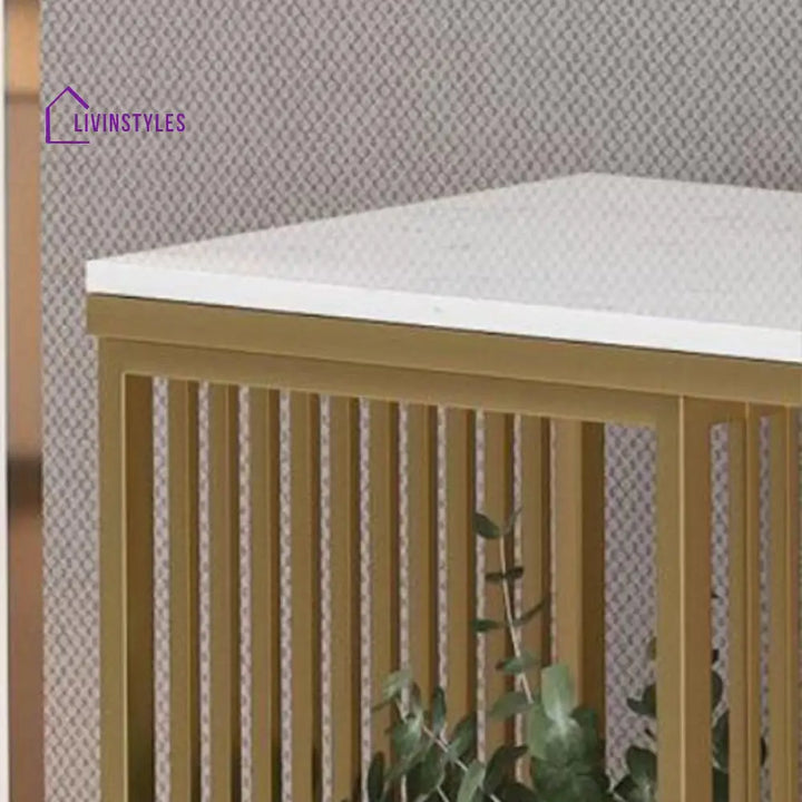 Jaskaran Stainless Steel Living Room Console Table