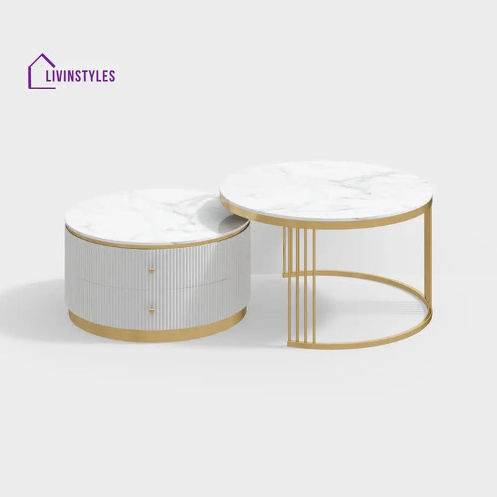 Jayesh Stainless Steel With Pvd Coated Coffee Table Marble Top