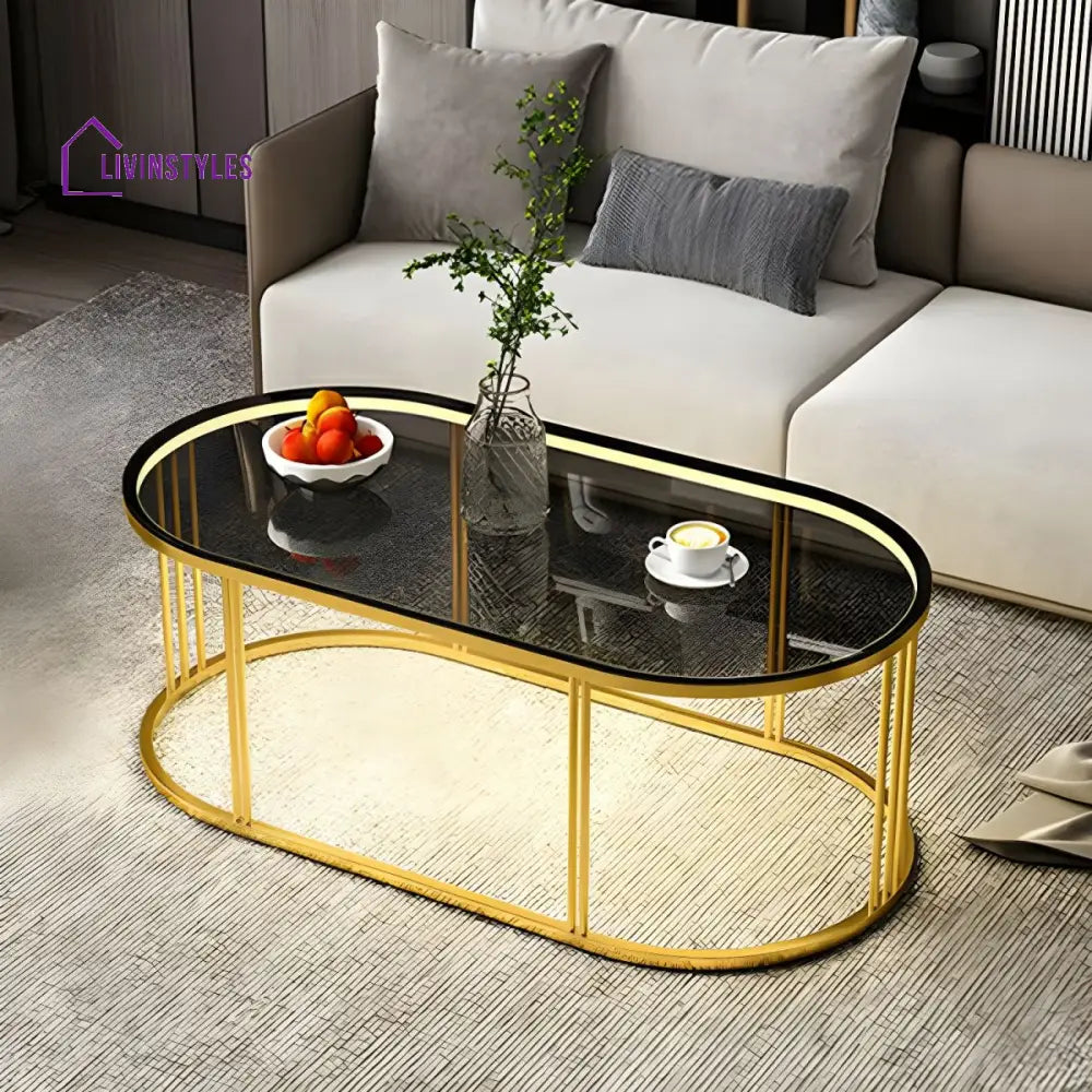 Jinal Stainless Steel Coffee Table for Lighting