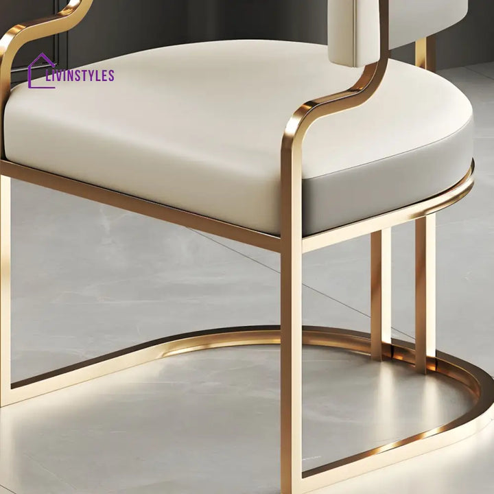 Jivika Metal Dining Chair | Stainless Steel
