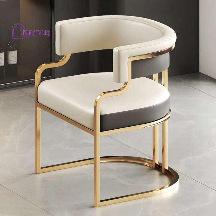 Jivika Metal Dining Chair | Stainless Steel
