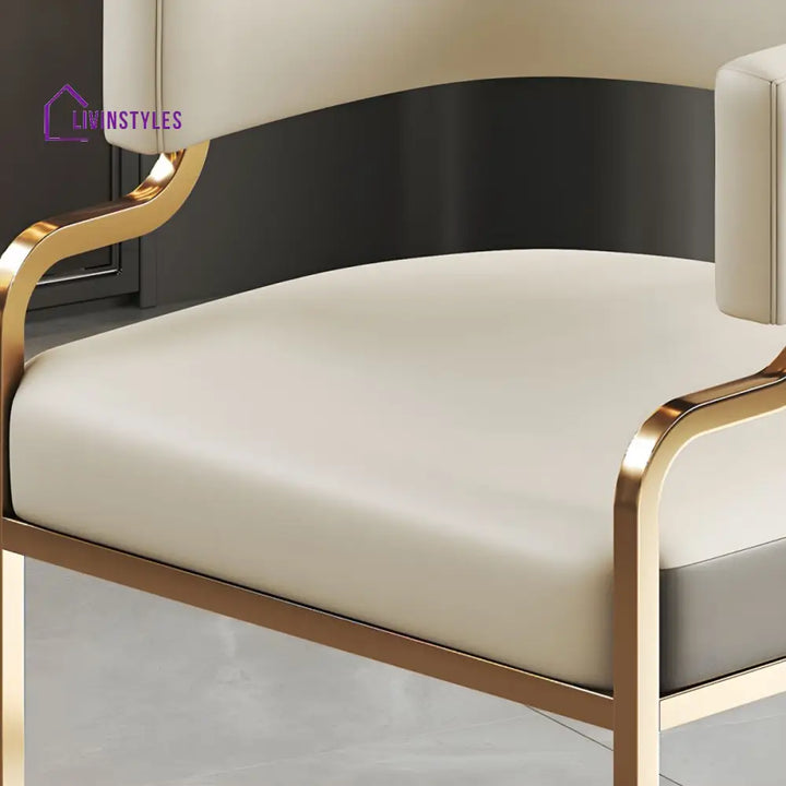 Jivika Metal Dining Chair | Stainless Steel