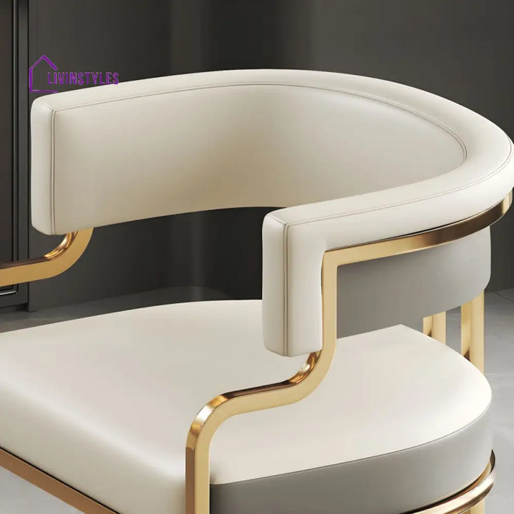 Jivika Metal Dining Chair | Stainless Steel