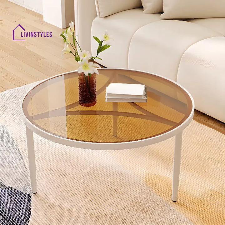 Jivin Stainless Steel Frame Coffee Table for Living Room