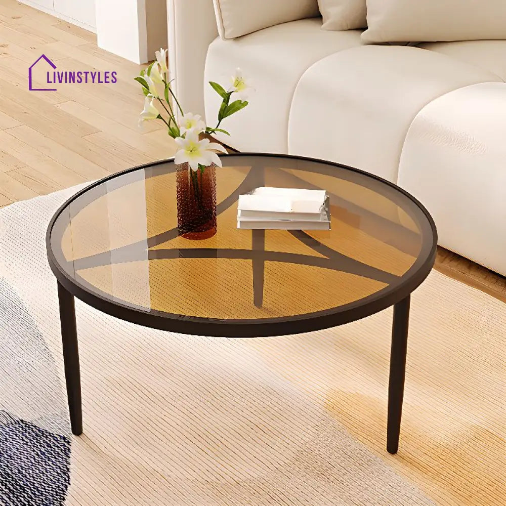 Jivin Stainless Steel Frame Coffee Table for Living Room