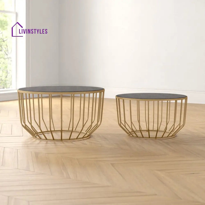 Jyothi Marble Top Metal Coffee Table - Set Of 2