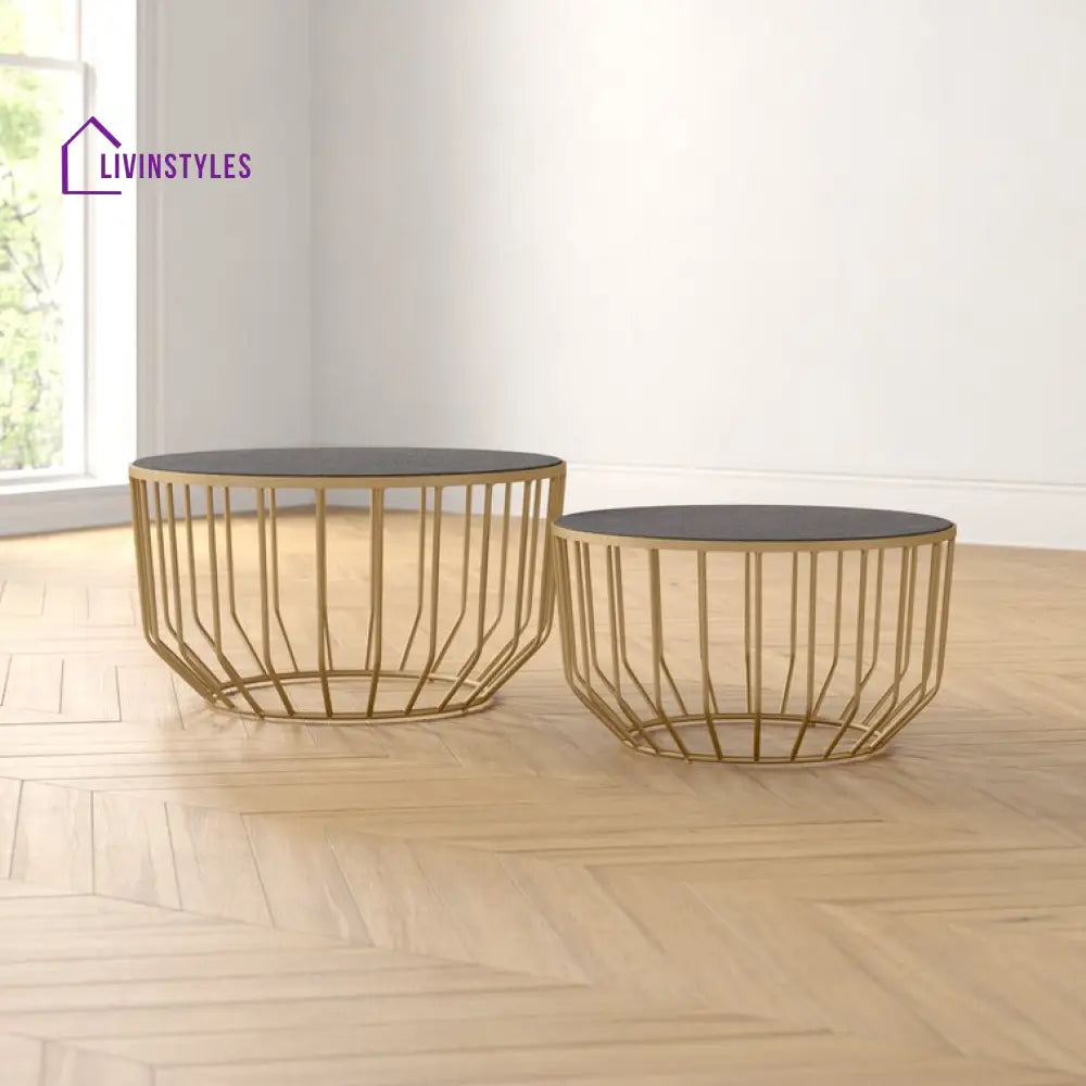 Jyothi Marble Top Metal Coffee Table - Set Of 2