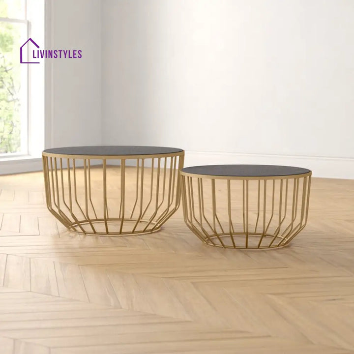 Jyothi Marble Top Metal Coffee Table - Set Of 2
