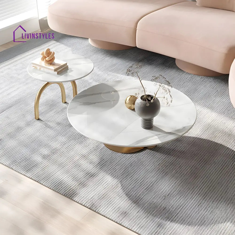 Kashmira Stainless Steel Coffee Table for Living Room