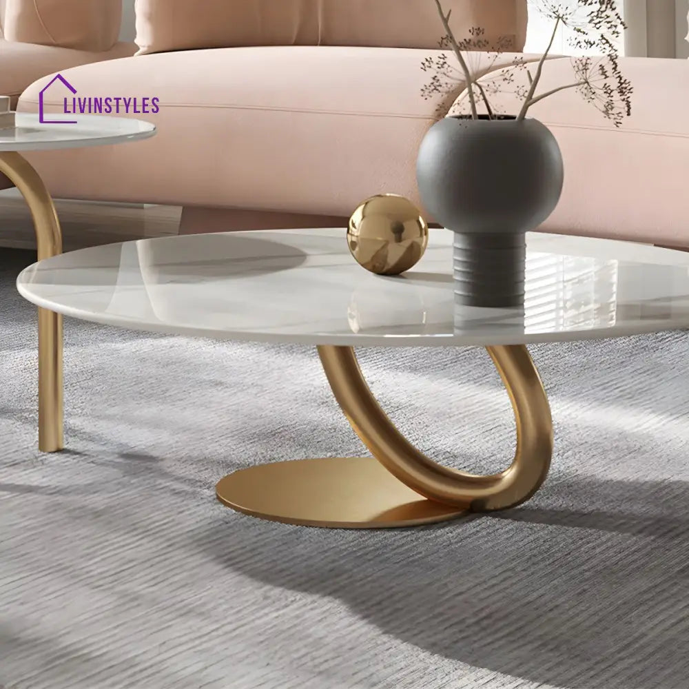 Kashmira Stainless Steel Coffee Table for Living Room