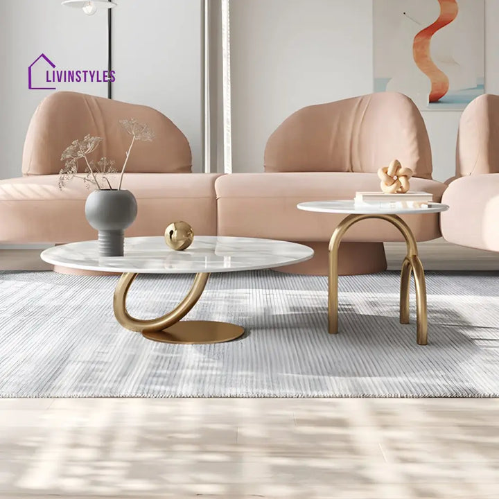 Kashmira Stainless Steel Coffee Table for Living Room