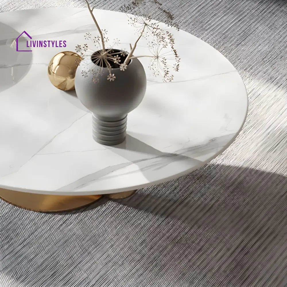 Kashmira Stainless Steel Coffee Table for Living Room