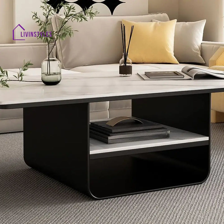 Kashvi Stainless Steel Frame Coffee Table for Living Room