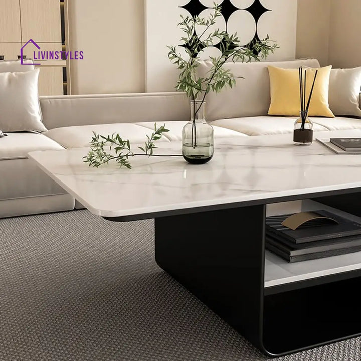 Kashvi Stainless Steel Frame Coffee Table for Living Room