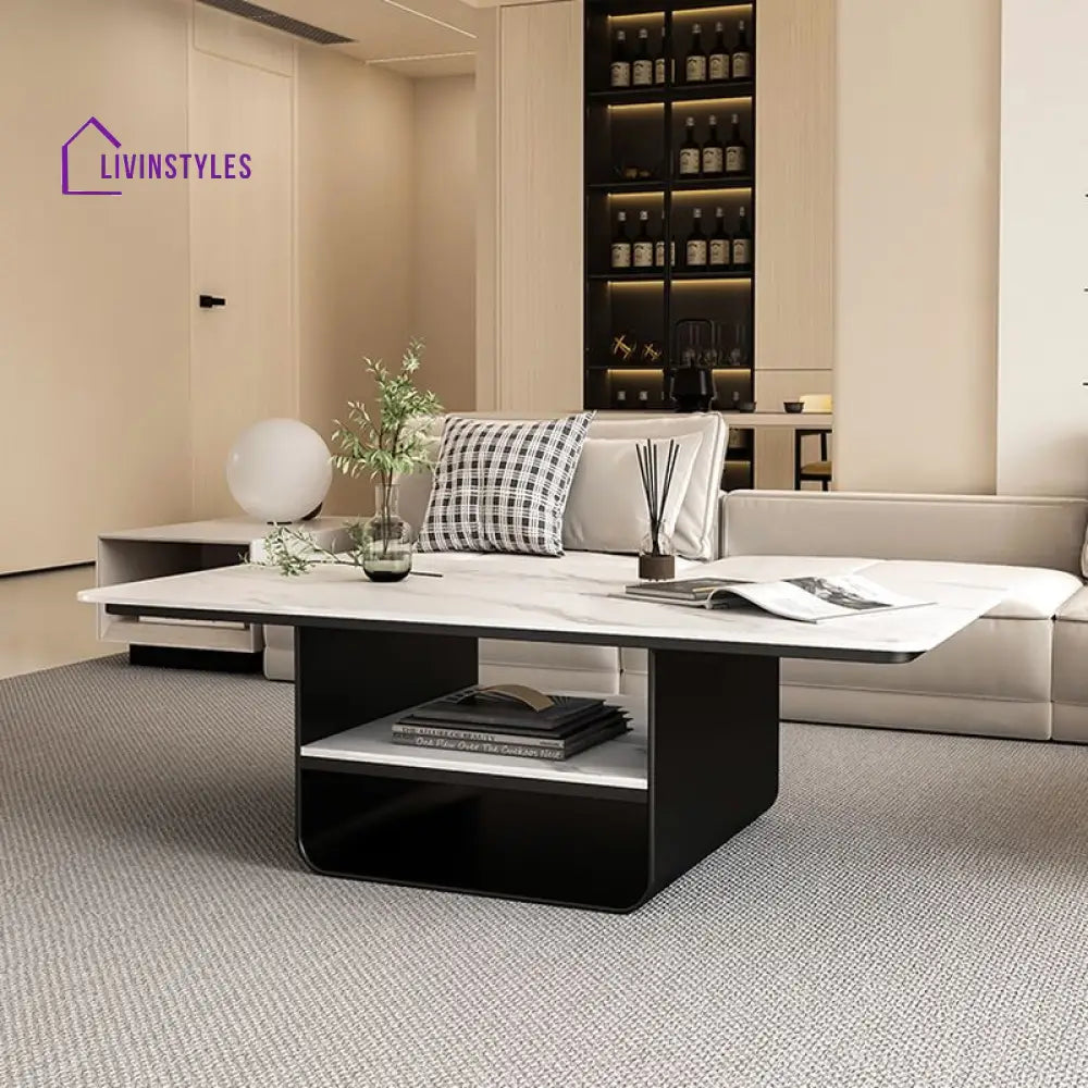 Kashvi Stainless Steel Frame Coffee Table for Living Room