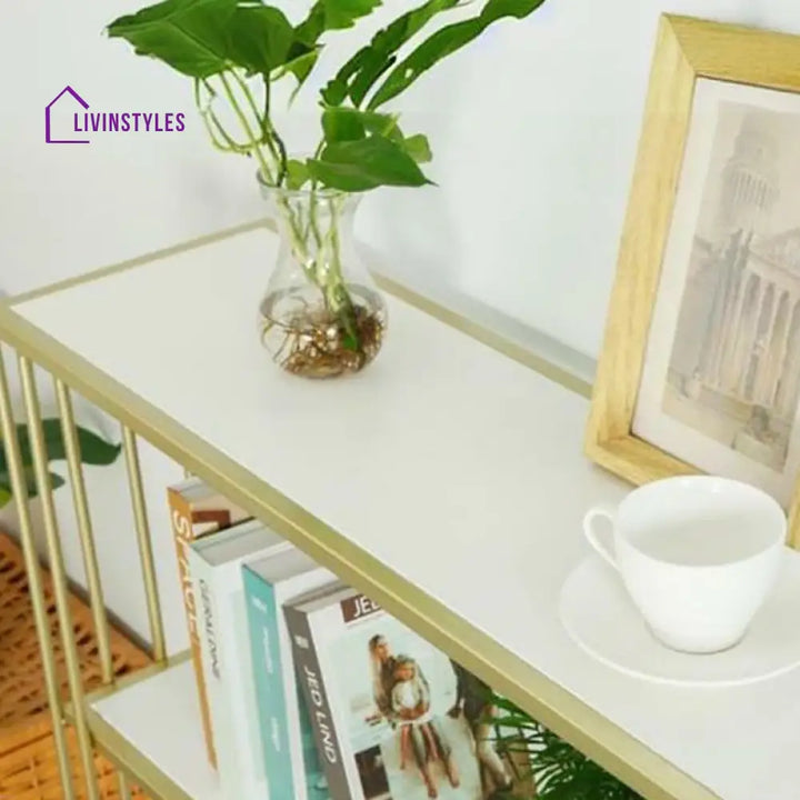 Kavir Stainless Steel Living Room Console Table