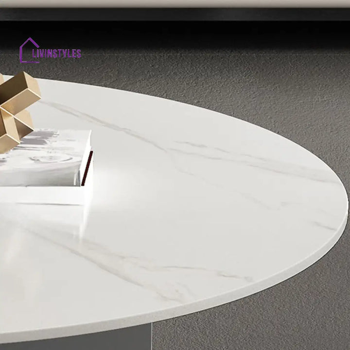 Kian Stainless Steel Frame Coffee Table for Living Room