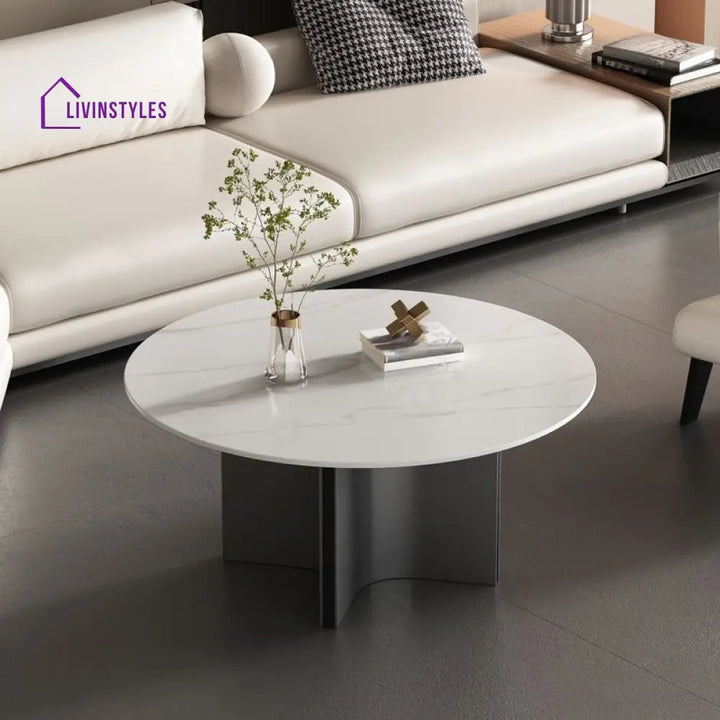 Kian Stainless Steel Frame Coffee Table for Living Room