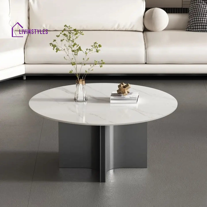 Kian Stainless Steel Frame Coffee Table for Living Room