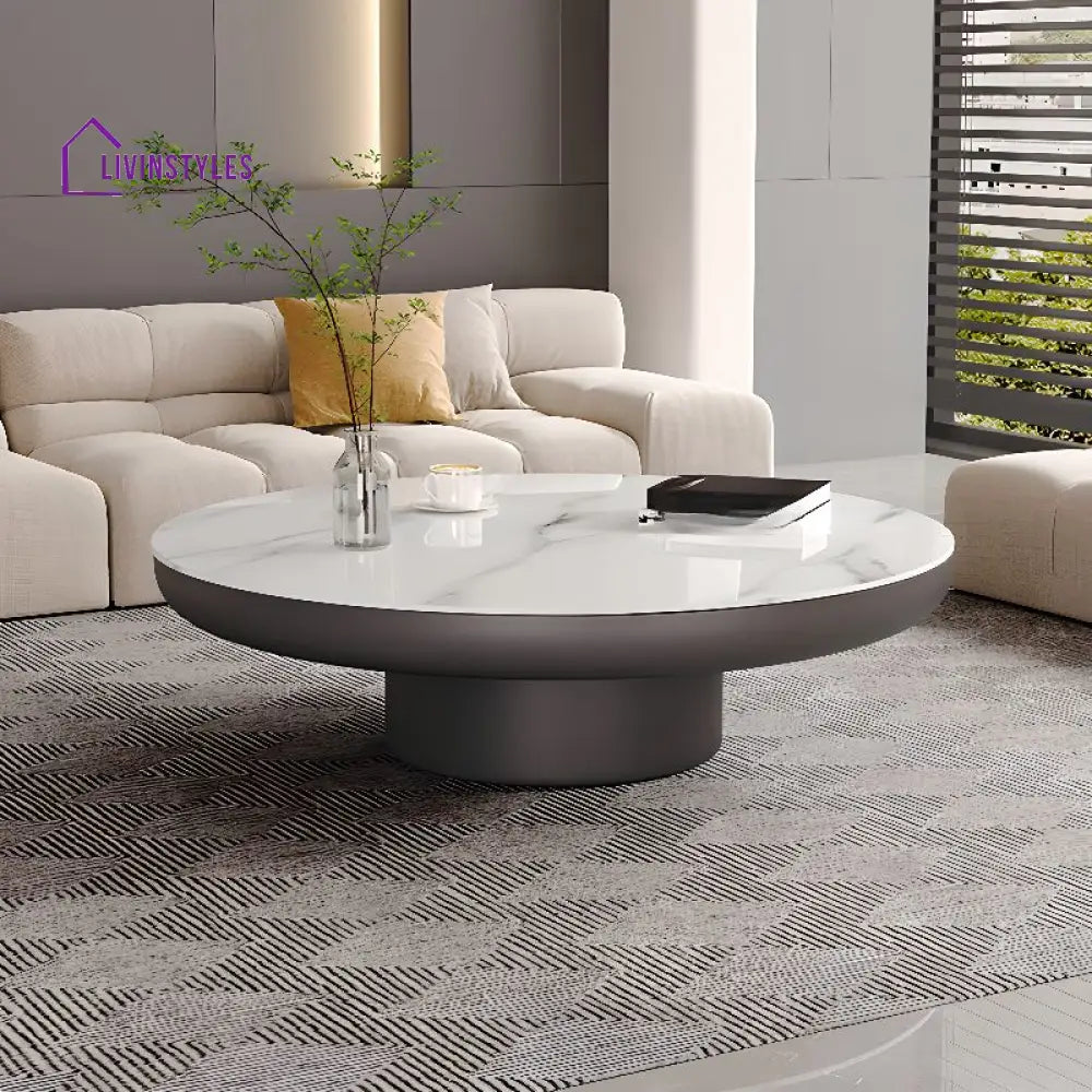 Kshira Stainless Steel Coffee Table for Living Room