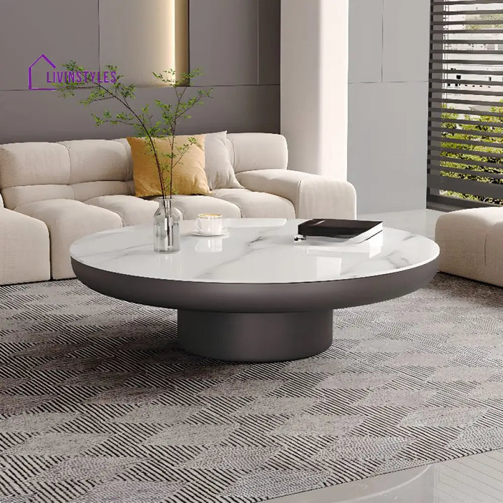 Kshira Stainless Steel Coffee Table for Living Room