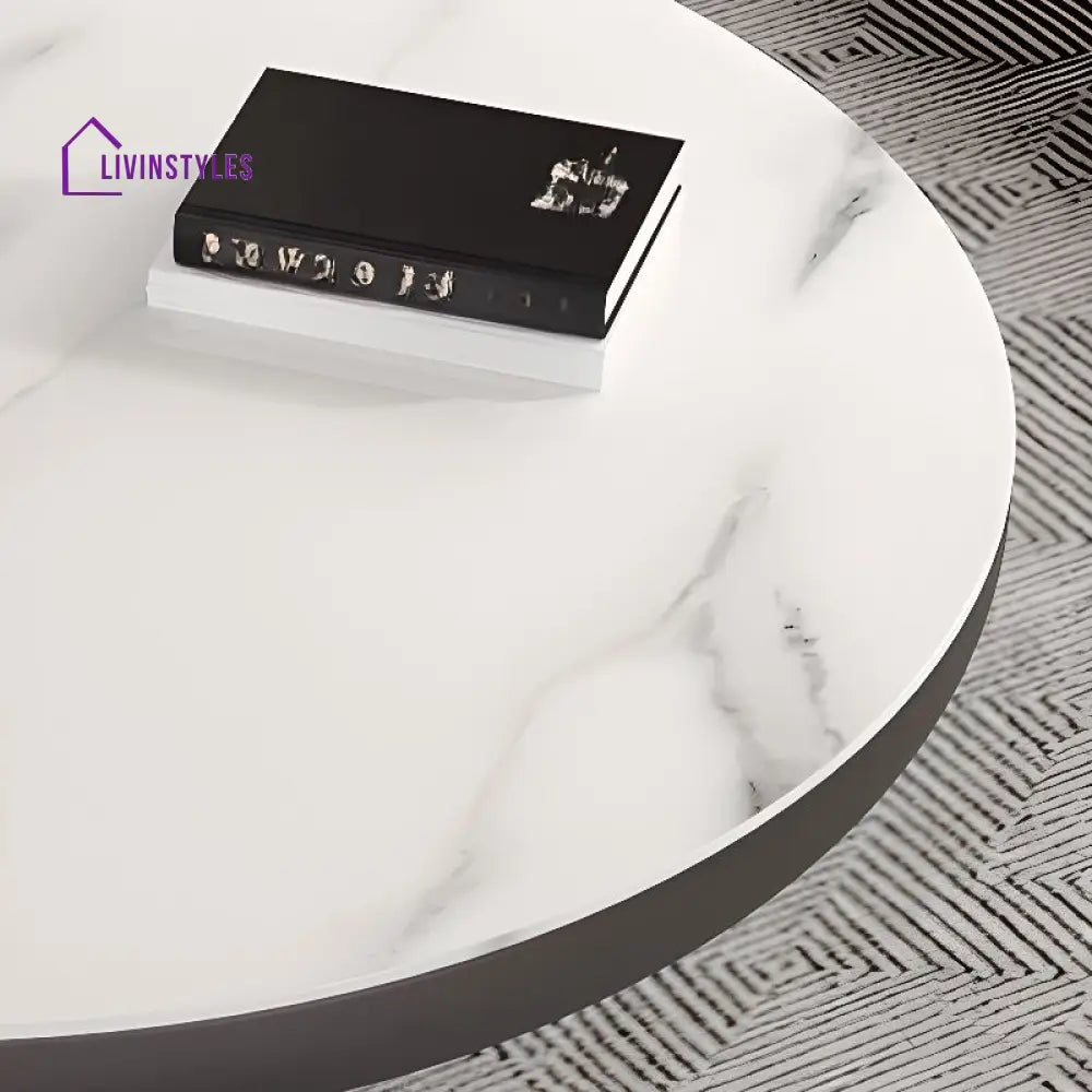 Kshira Stainless Steel Coffee Table for Living Room