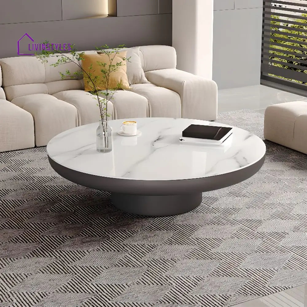 Kshira Stainless Steel Coffee Table for Living Room