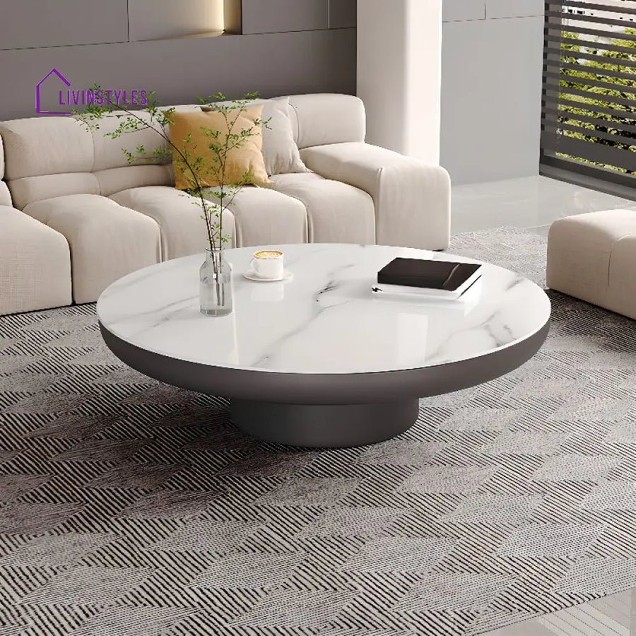 Kshira Stainless Steel Coffee Table for Living Room