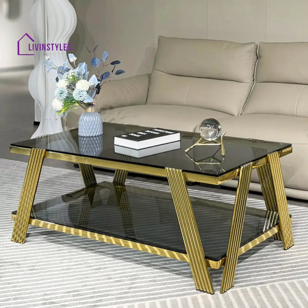 Kusum Stainless Steel Coffee Table For Living Room