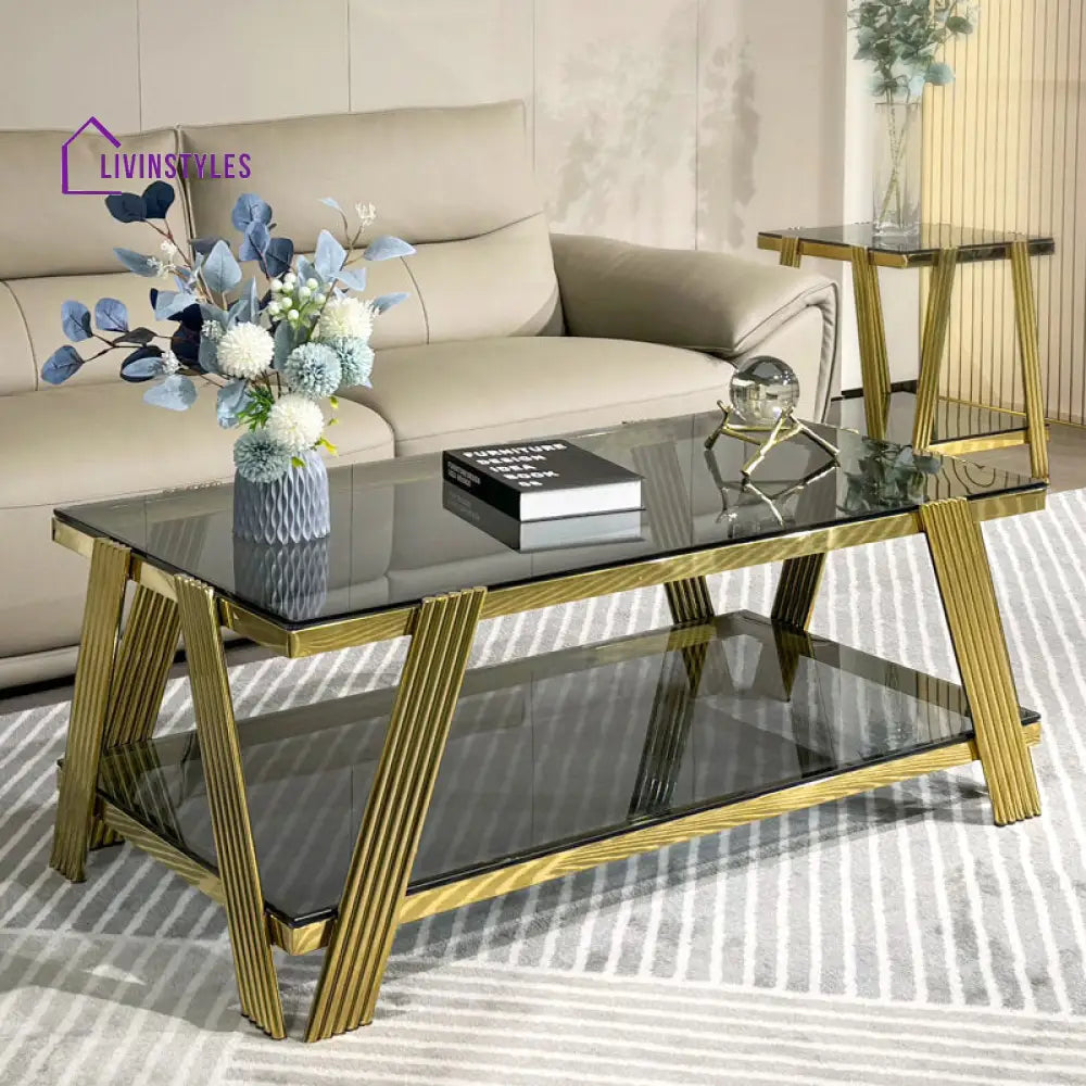 Kusum Stainless Steel Coffee Table For Living Room