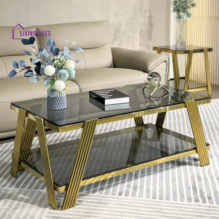 Kusum Stainless Steel Coffee Table For Living Room