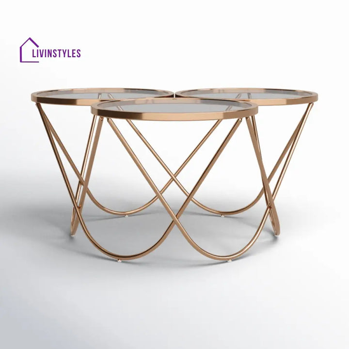 Lark Stainless Steel Coffee Table For Living Room