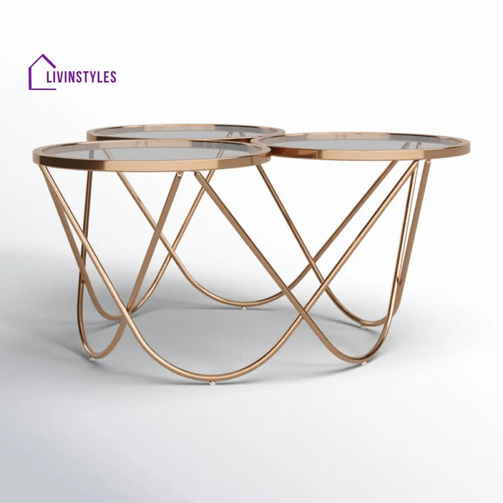 Lark Stainless Steel Coffee Table For Living Room