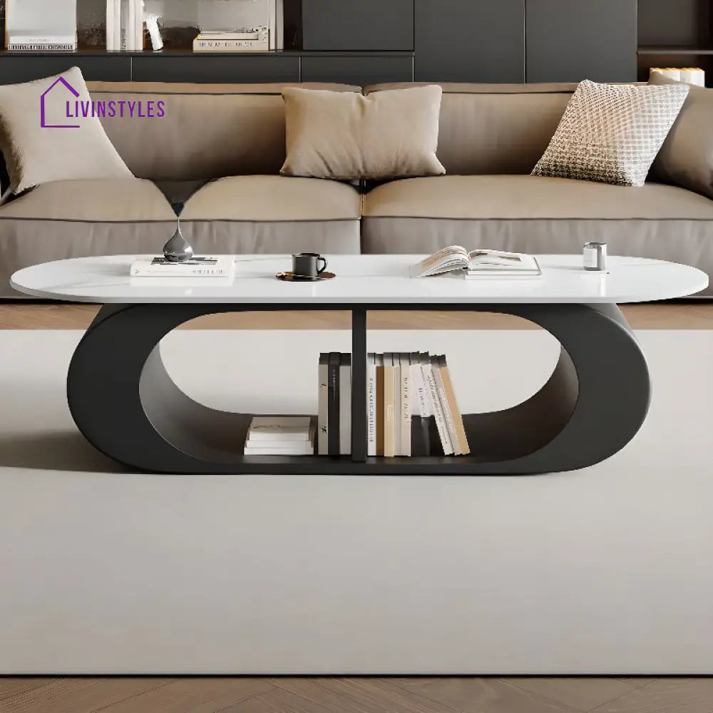 Lavisha Stainless Steel Frame Coffee Table for Living Room