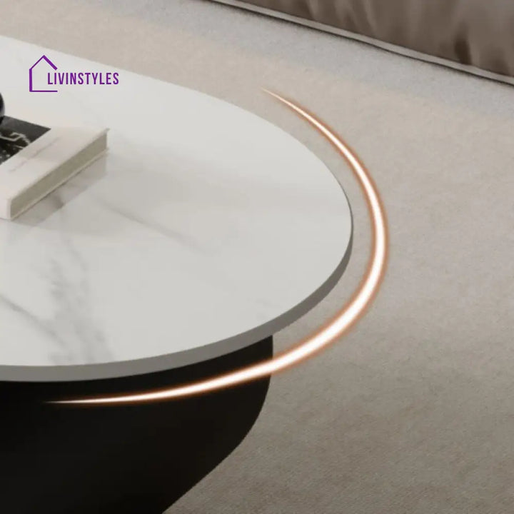 Lavisha Stainless Steel Frame Coffee Table for Living Room