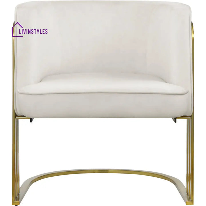 Leesha Metal and Fabric Arm Chair | Living Room Chair | Lounge Chair