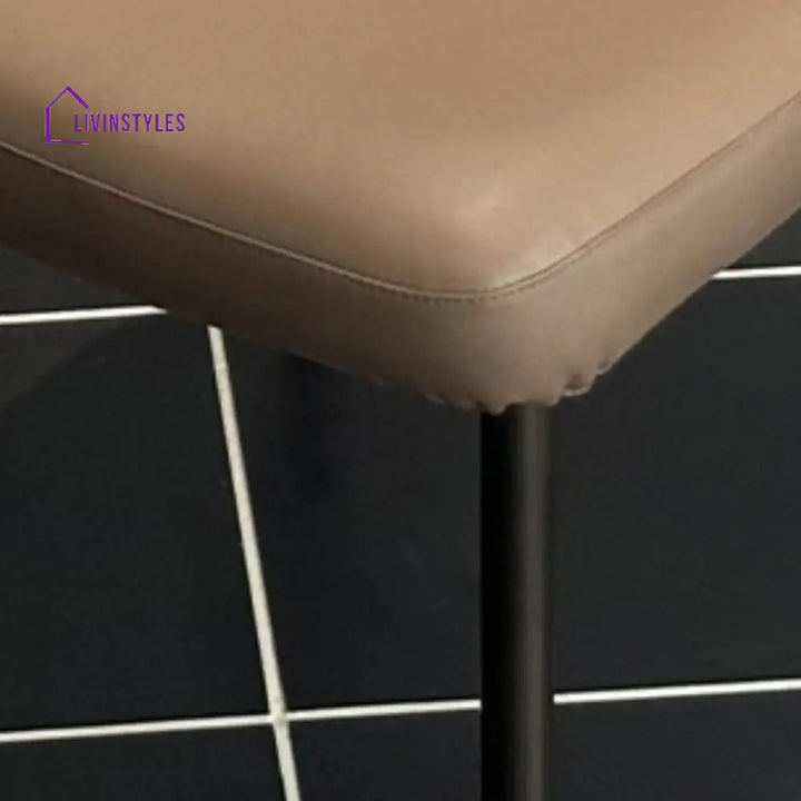 Lekha Metal Dining Chair | Stainless Steel