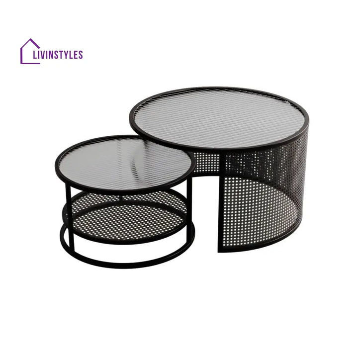 Lekha Stainless Coffee Table for Living Room