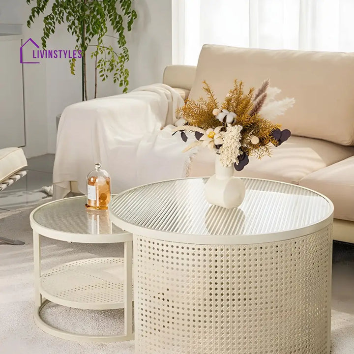 Lekha Stainless Coffee Table for Living Room