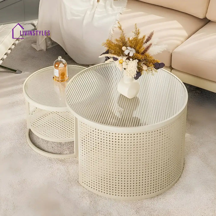 Lekha Stainless Coffee Table for Living Room