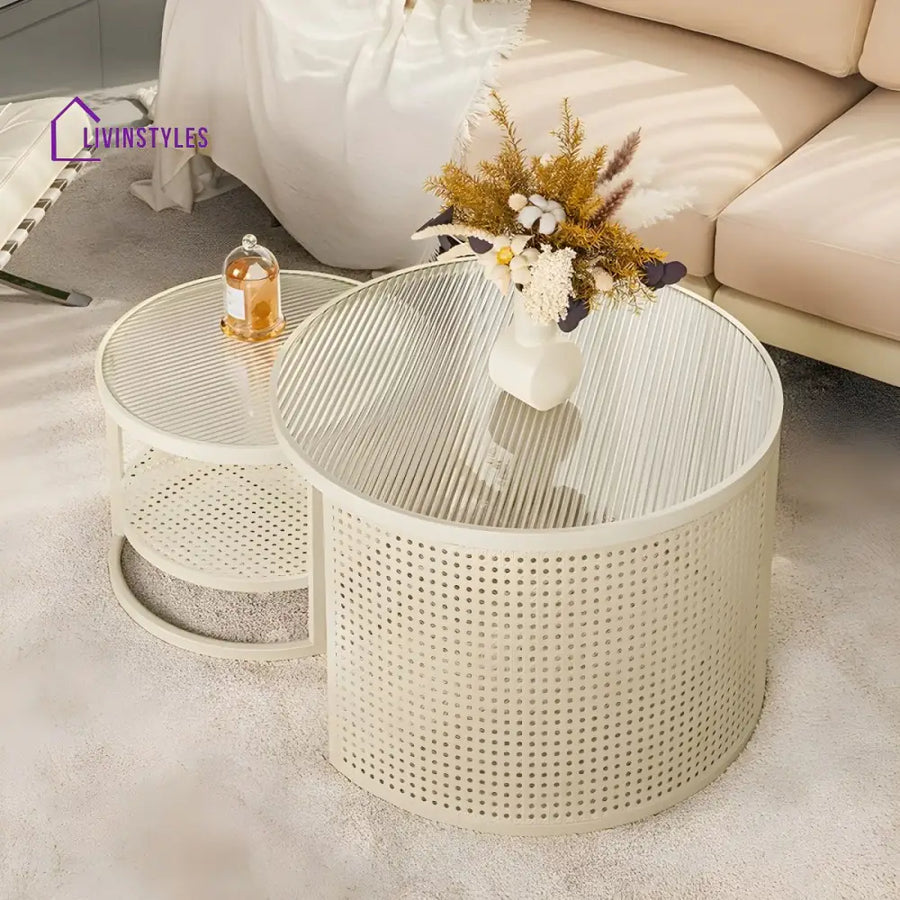 Lekha Stainless Coffee Table for Living Room
